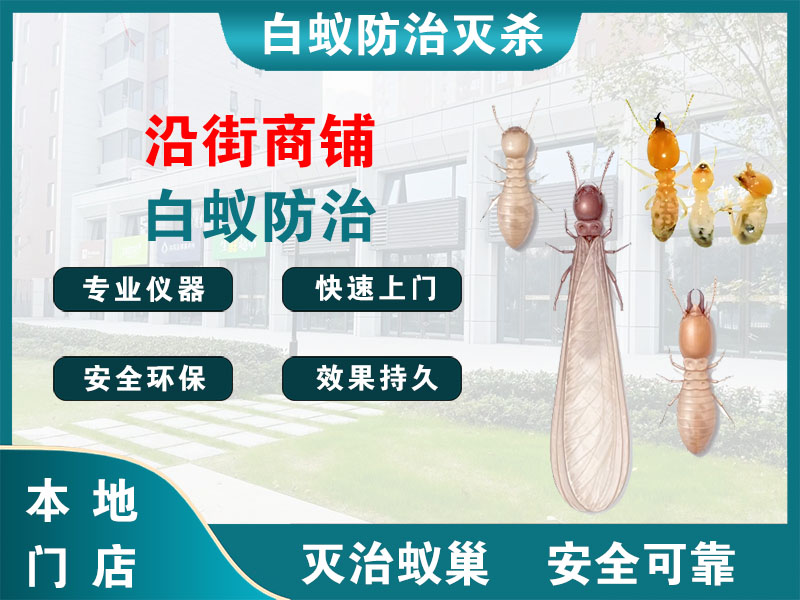 雨花台沿街商铺白蚁防治