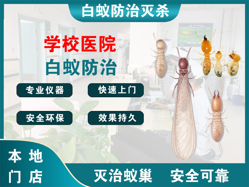雨花台学校医院白蚁防治