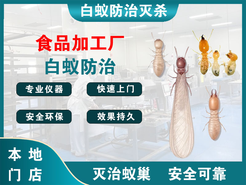 雨花台食品加工厂白蚁防治