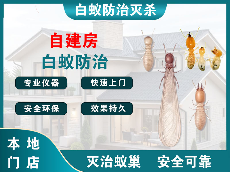 雨花台自建房白蚁防治