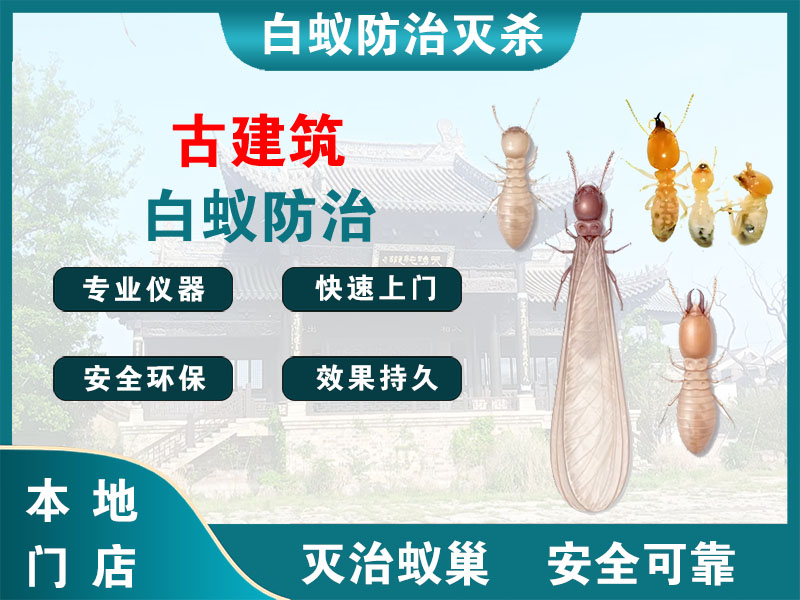 雨花台古建筑白蚁防治